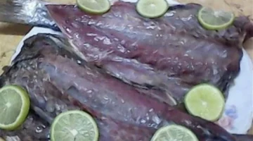 مخاطر التسمم البوتوليني في أسماك العيد وكيفية تجنب أعراضه الصحية الخطيرة